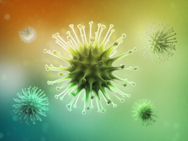 deze virussen, humane tumorvirussen, acute chronische, acute chronische hepatitis