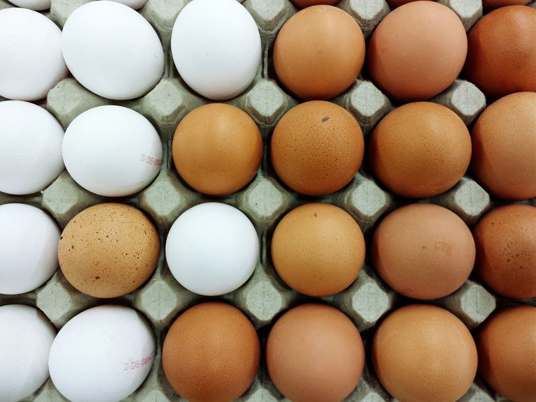 zijn voor, eieren gluten, boeren kippen, boeren kippen geen, deze eieren