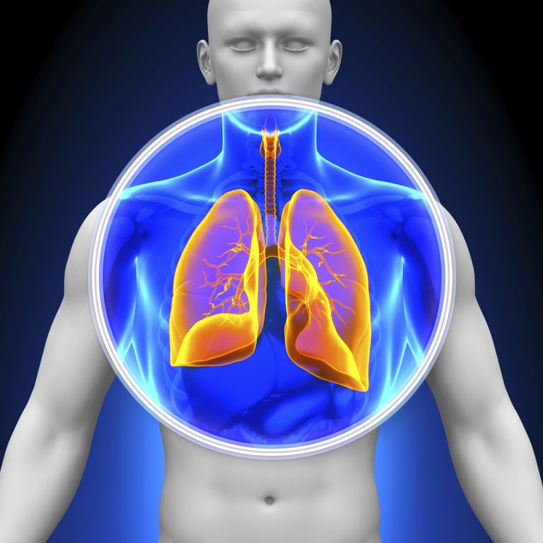 naar longen, type longkanker, goed voor, kleincellige longkanker, longkanker zijn
