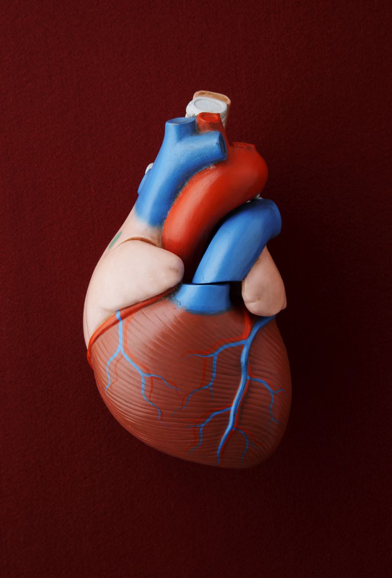 ejectiefractie wordt, elke hartslag, hoeveelheid bloed, cardiale dilatatie