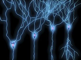 fibreuze neuropathie, multiple sclerose, beschadigde zenuwen, betrokken zijn, grote vezels, kleine studie