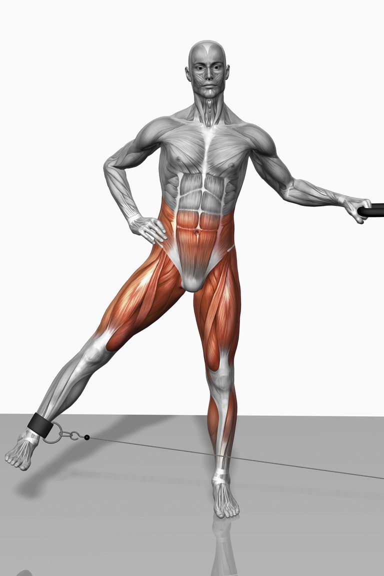 midden lichaam, sagittale vlak, armen benen, bekken dijbeen
