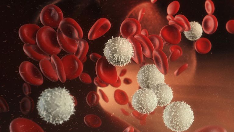 rode bloedcellen, witte bloedcellen, aantal cellen, aantal rode, aantal rode bloedcellen
