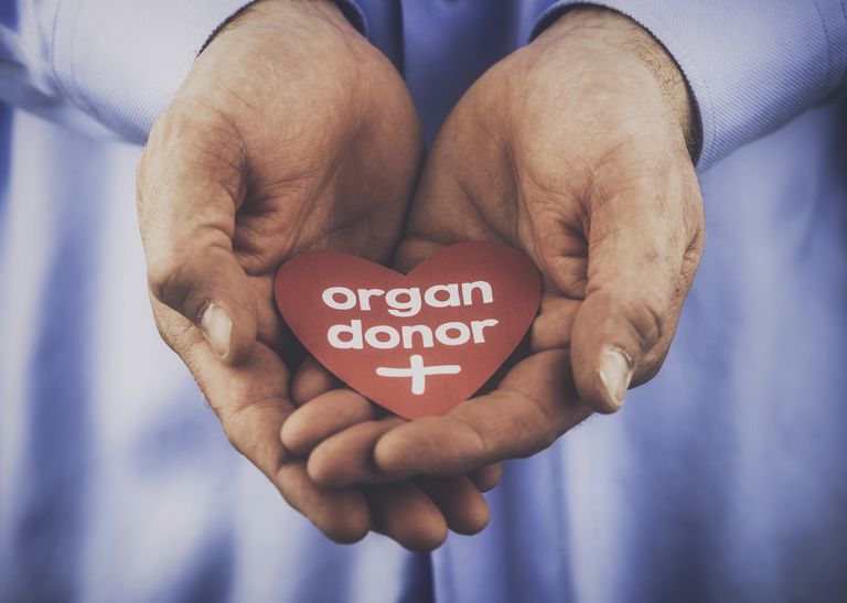 donor ontvanger, risico afstoting, menselijk lichaam, nieuwe orgaan, type transplantatie, verschillende soorten
