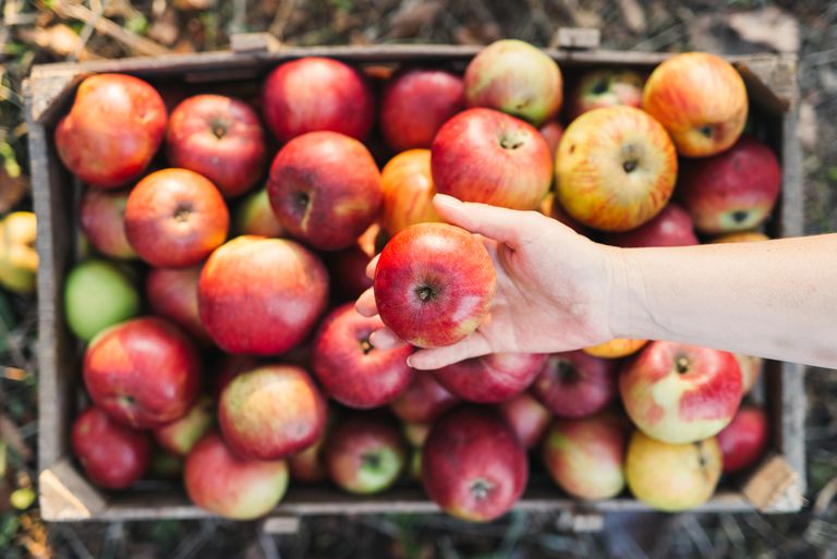 orale allergiesyndroom, voor degenen, appels genieten, Snijd appels