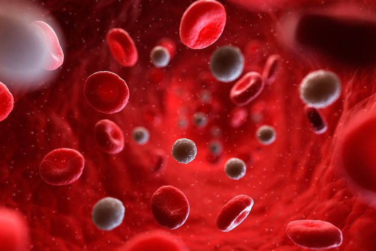 rode bloedcellen, aantal rode, aantal rode bloedcellen, bereik voor, hemoglobine rode