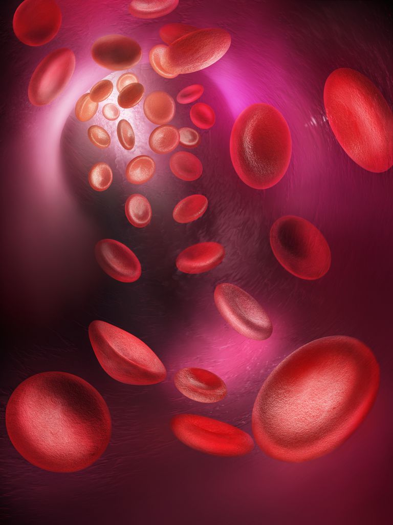witte bloedcellen, bloedcellen bloedplaatjes, rode bloedcellen, myeloïde cellijn, rode bloedcellen bloedplaatjes, bloedcellen kunnen