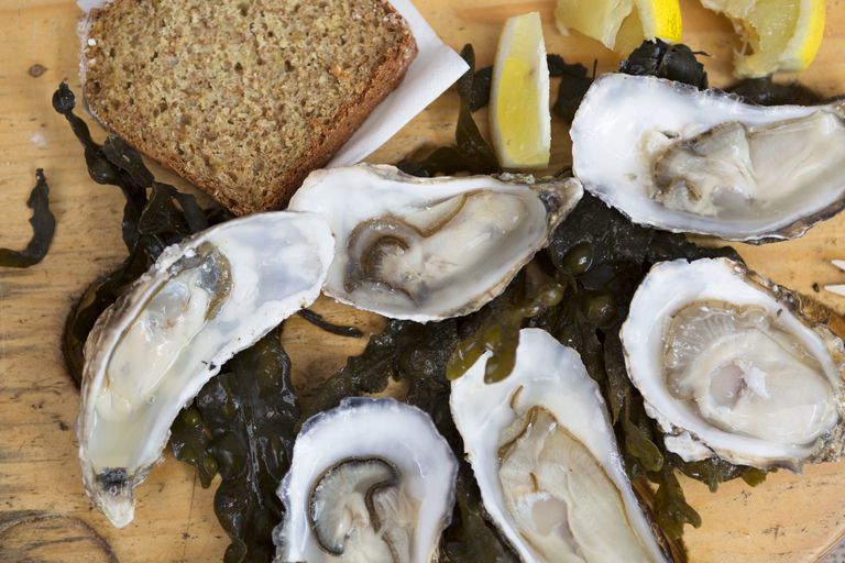 zijn oesters, besmet zijn, bevatten veel, gerechten zoals, hele jaar
