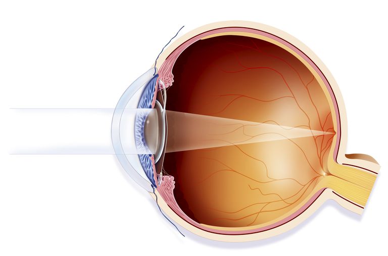 PAM-test niet, typische ooggrafiek, helpen kiezen, lezen typische, lezen typische ooggrafiek