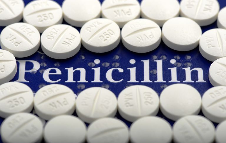 grootste deel, penicillines zijn, kunnen penicillines, penicillines denk