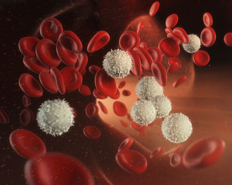 witte bloedcellen, dosis chemotherapie, hoge doses, rode bloedcellen, stamcellen ontvangen