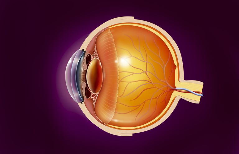 terugkerende cornea-erosie, bovenste laag, epitheliale cellen, kunnen worden, kunnen worden voorgeschreven, laag Bowman