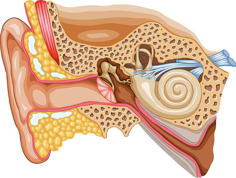 ernstige tinnitus, Tinnitus Association, American Tinnitus, American Tinnitus Association, ernstige tinnitus kunnen, meest voorkomende