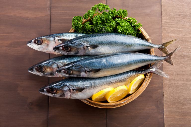 omega-3 vetzuren, gegrild gebakken, kunnen worden, worden gegrild, bron eiwitten