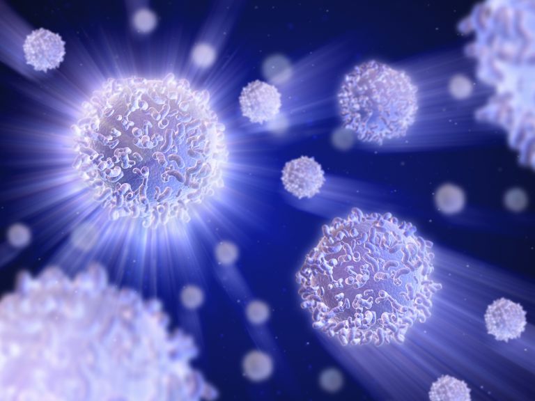 B-cellen T-cellen, immuunsysteem niet, niet volledig, witte bloedcellen, wordt genoemd, allergische reactie