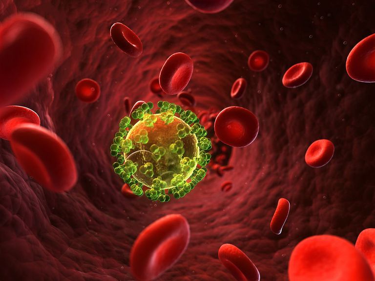 T-helper T-helper, functionerende CD4-cellen, hebben mensen, kubieke millimeter, kubieke millimeter bloed