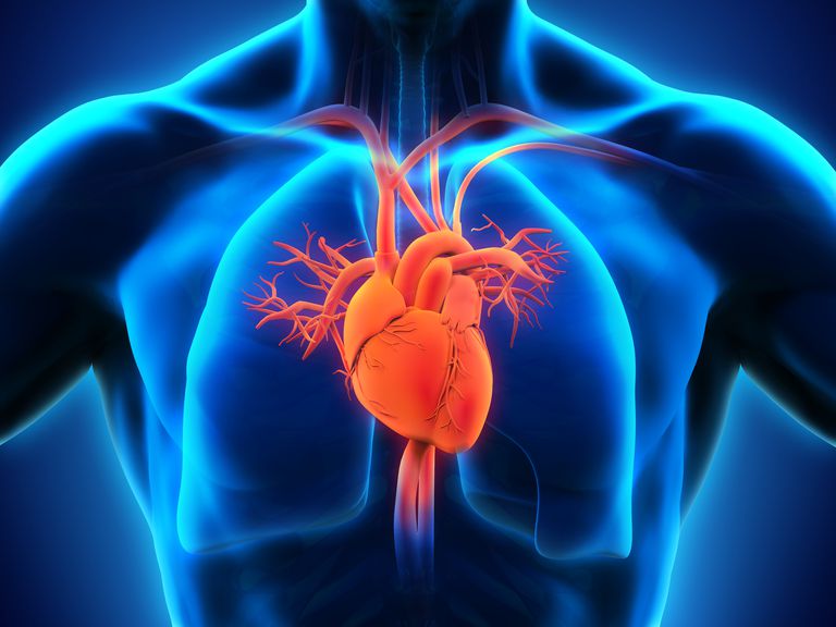 aorta stenose, mechanische kleppen, aortastenose wordt, chirurgische klepvervanging, ernstige aortastenose, oorzaak aortastenose