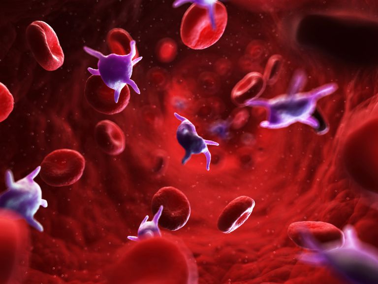 aantal bloedplaatjes, virale infectie, aantal bloedplaatjes verhogen, bloedplaatjes milt, bloedplaatjes verhogen