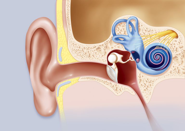 migraine tinnitus, tinnitus migraine, centrale sensitisatie, tussen tinnitus