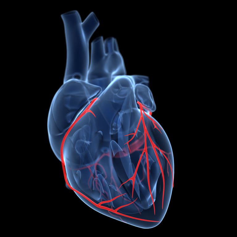 belangrijkste kransslagaders, dominant hart, geblokkeerd raakt, gevolg blokkade, hartaanval gevolg, hartaanval gevolg blokkade